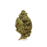 hindu-kush-medium-sized-buds-cannabis2.jpg.jpg