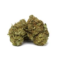 rockbud-cannabis-canada.jpg